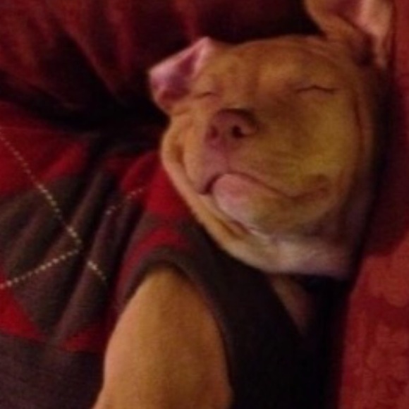 Meet Your Posher - Picture 2 of 6